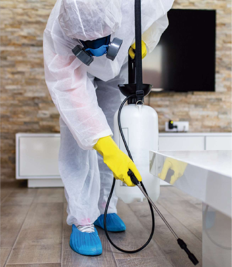 Pest control service image from the Pest Control MX brochure